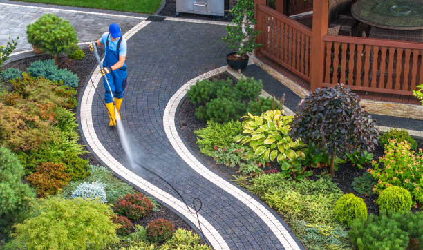 Best Local Pressure Washing Services  in Torrington, WY